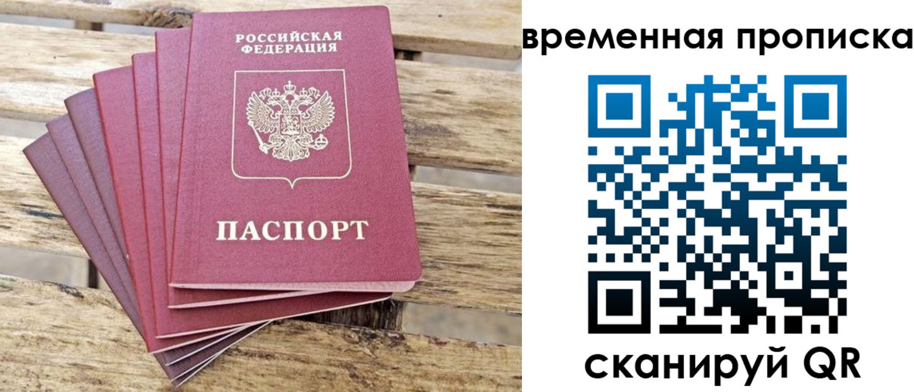 найти адрес прописки в Тольятти